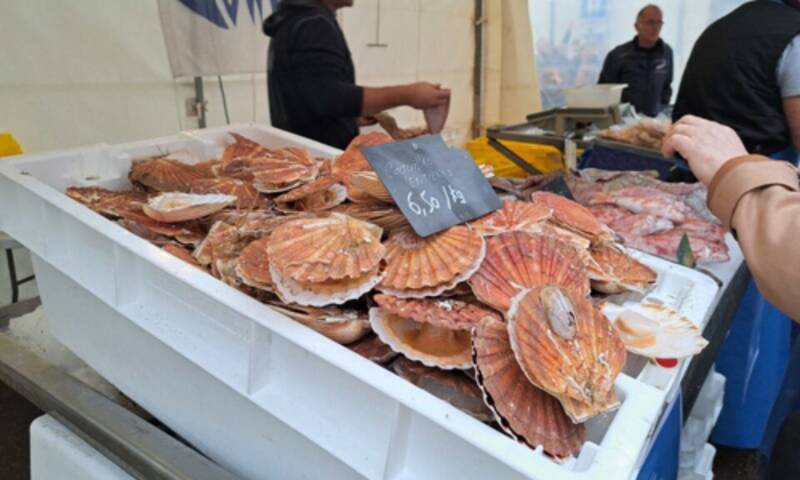 Fête de la coquille