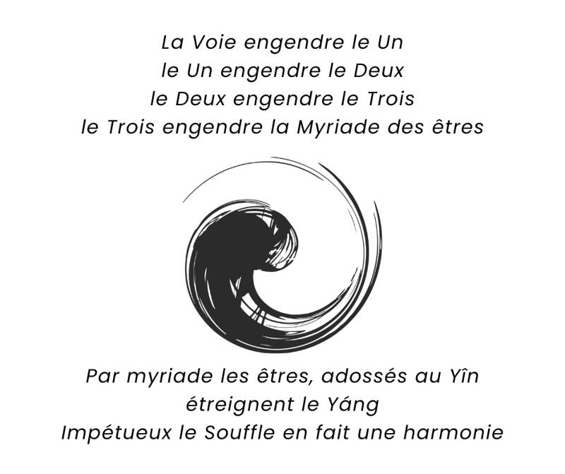Conférence Qi gong : au-delà du mouvement