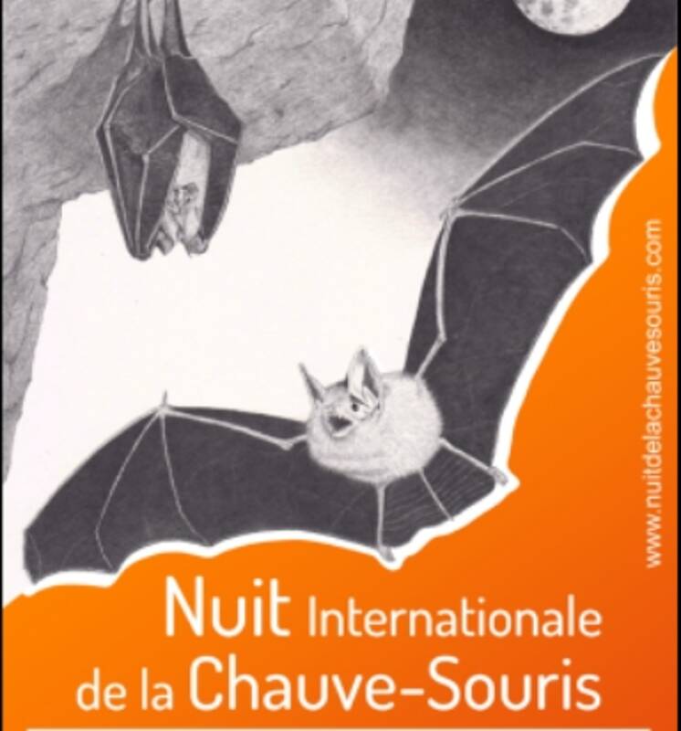 Conférence 