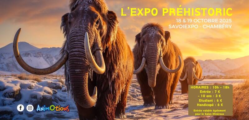 L’Exposition Préhistoric