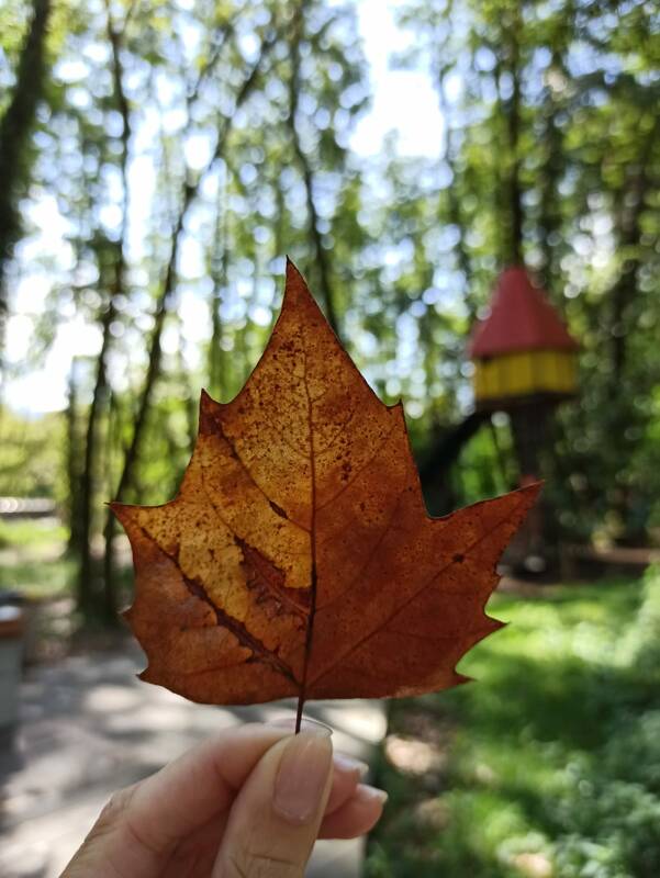 La fête de l’automne 2025 au Criq’Parc