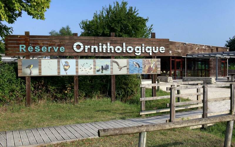 Marche à allure modérée