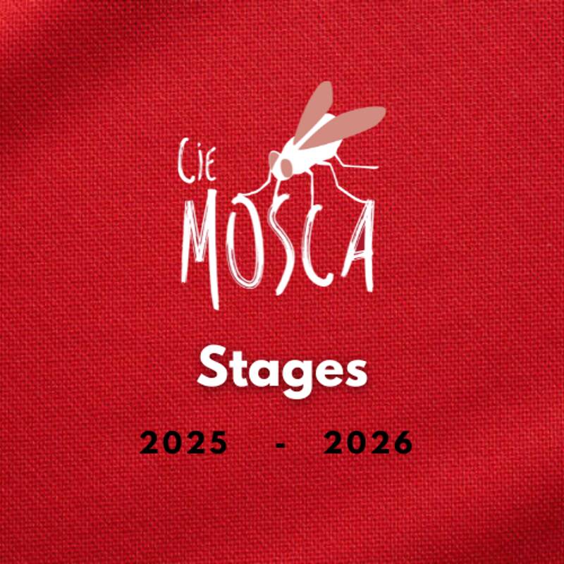 Stages :