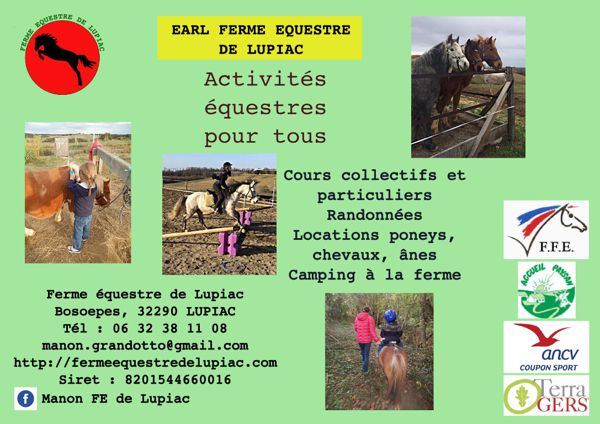 Equitation adulte essais gratuit