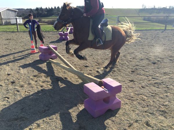 Séjours enfants/ Mini camps