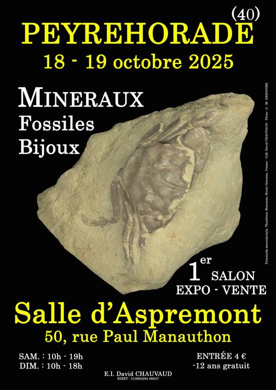 1er SALON MINERAUX FOSSILES BIJOUX