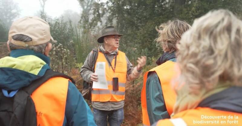 Balade-conférence en forêt