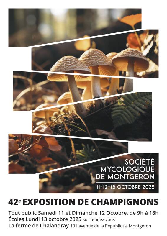 Exposition de Champignons