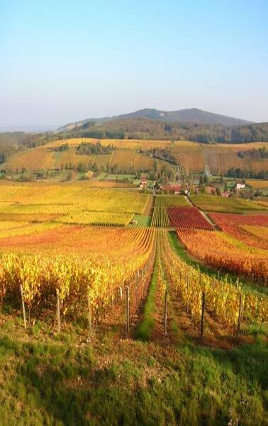 RANDONNEE PEDESTRE ENTRE MONTS ET VIGNES