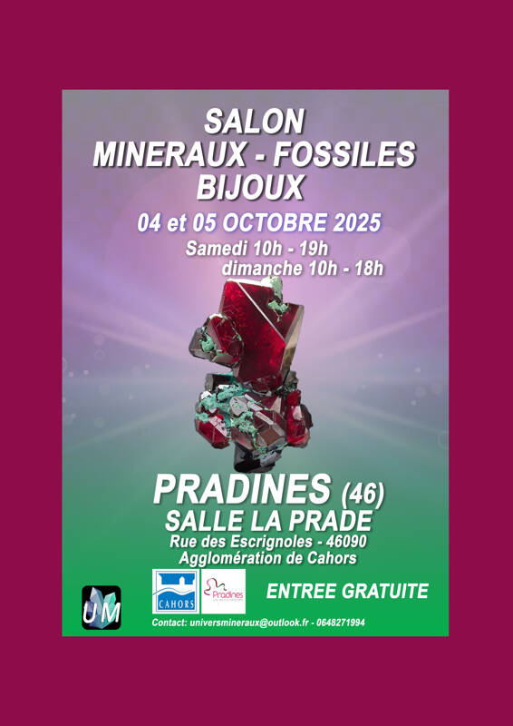 Salon minéraux, fossiles, bijoux de créateur.