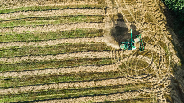 Atelier: Maximisez vos exploitations agricoles