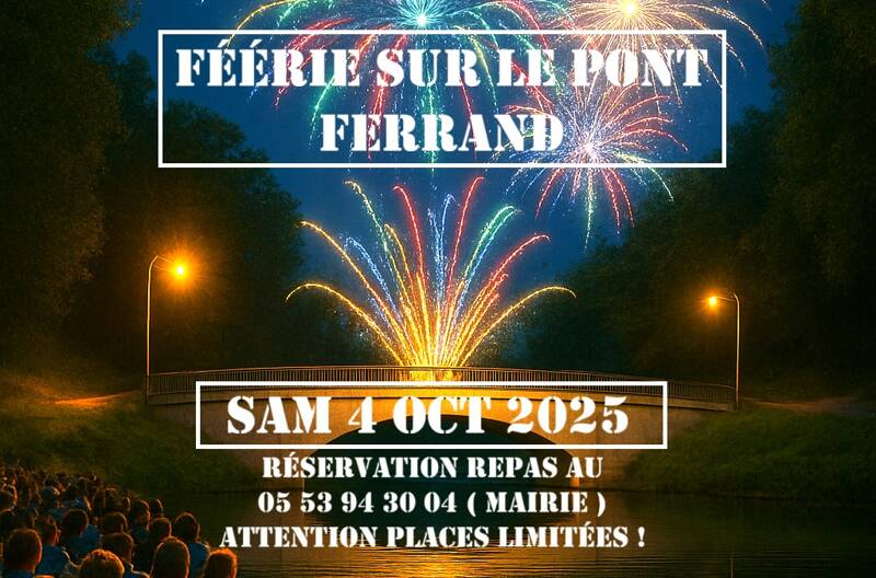 Fééries sur le pont Ferrand