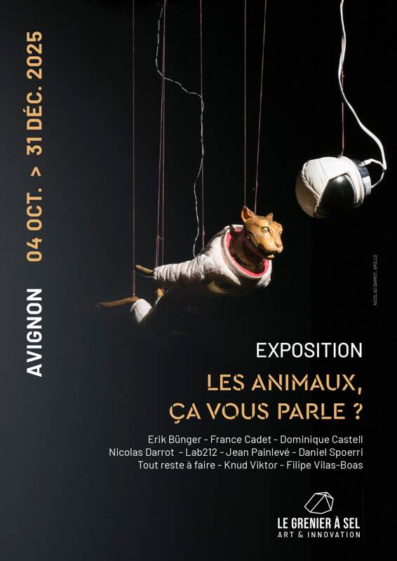 Les animaux ça vous parle ?