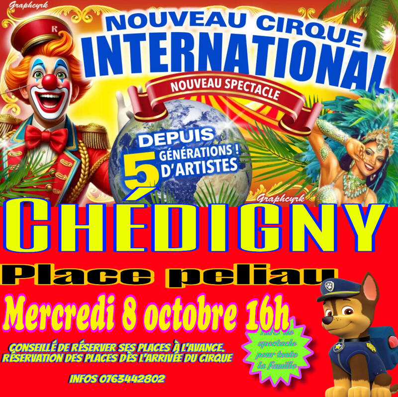 Nouveau cirque international