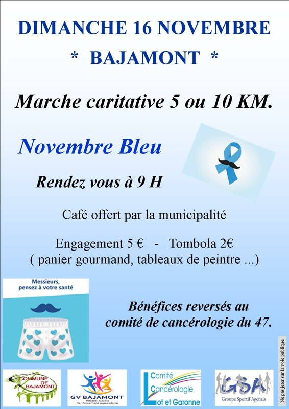 NOVEMBRE BLEU  - marche caritative