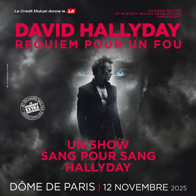 DAVID HALLYDAY - REQUIEM POUR UN FOU