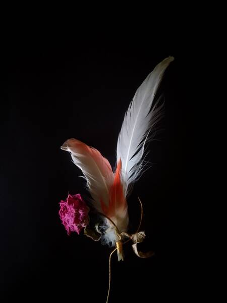 Assemblée Générale du TANIT puis lecture musicale