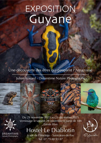 Exposition Photo et vernissage - Guyane Française