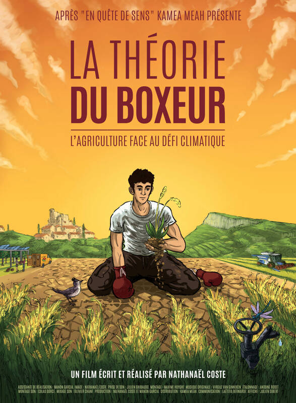 Ciné-débat : La théorie du boxeur