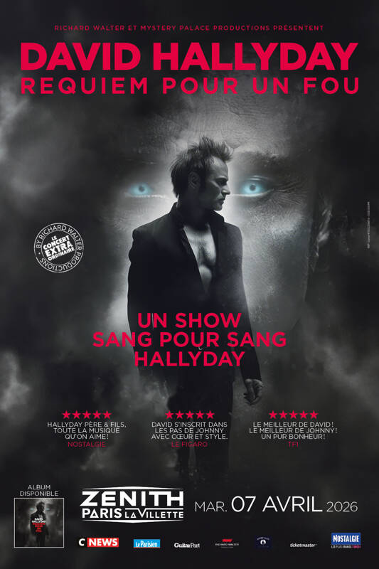 David Hallyday requiem pour un fou
