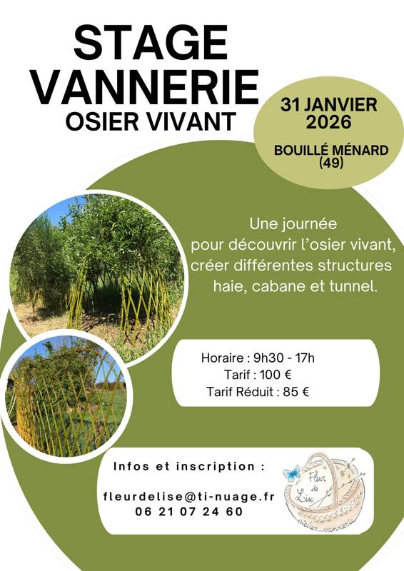 stage osier vivant
