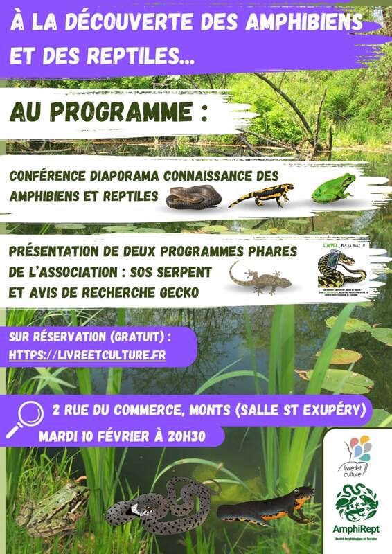 Conférence : A la découverte des amphibiens et reptiles