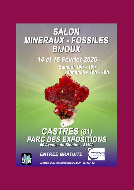 Salon minéraux, fossiles, bijoux de créateur.
