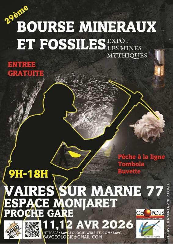 29ème Bourse Minéraux et Fossiles