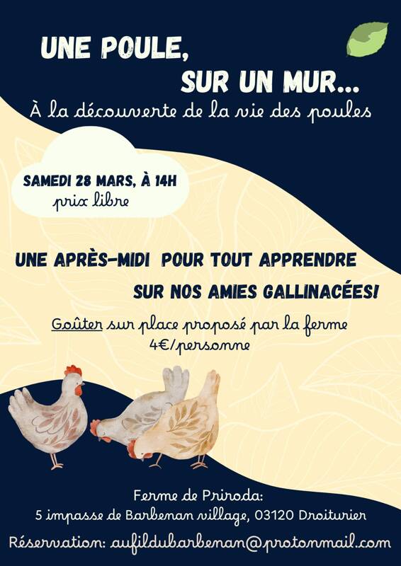 Une poule sur un mur