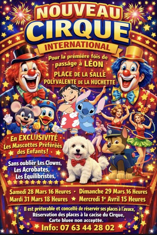 Le nouveau cirque international