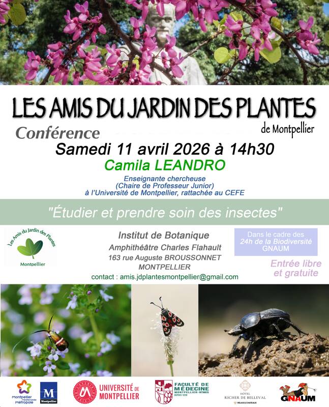 Conférence « Étudier et prendre soin des insectes »