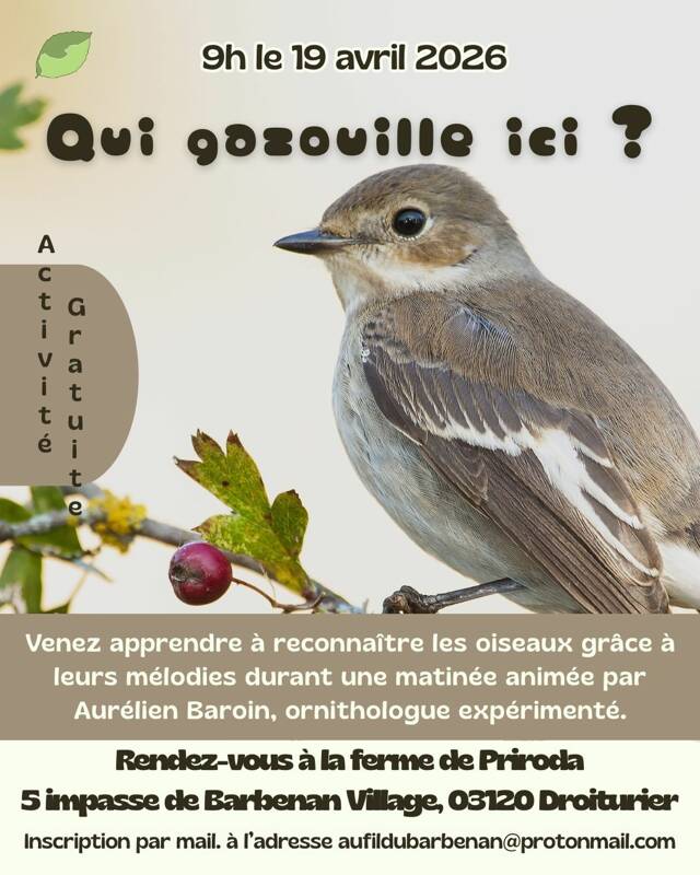Qui gazouille ici ?