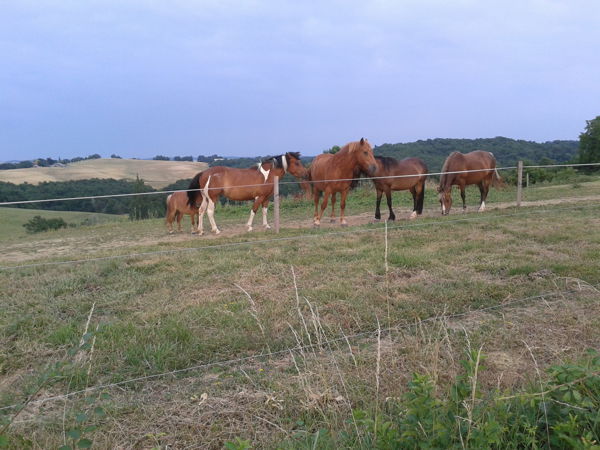 Bivouac en famille ou entre amis