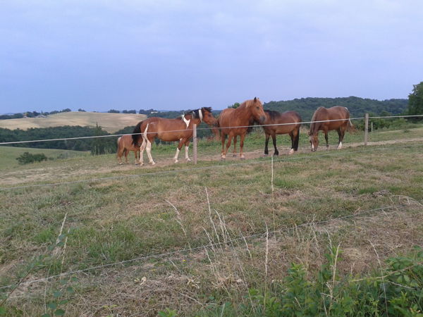 Bivouac en famille ou entre amis