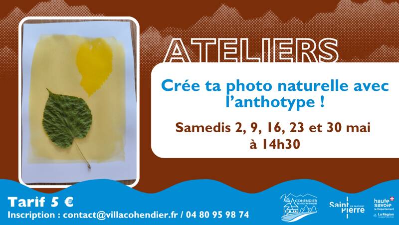 « Crée ta photo naturelle avec l'anthotype »