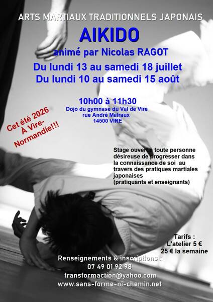 ARTS MARTIAUX TRADITIONNELS JAPONAIS - AIKIDO