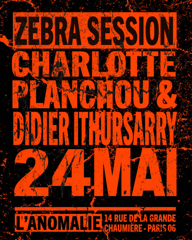 ZEBRA SESSION