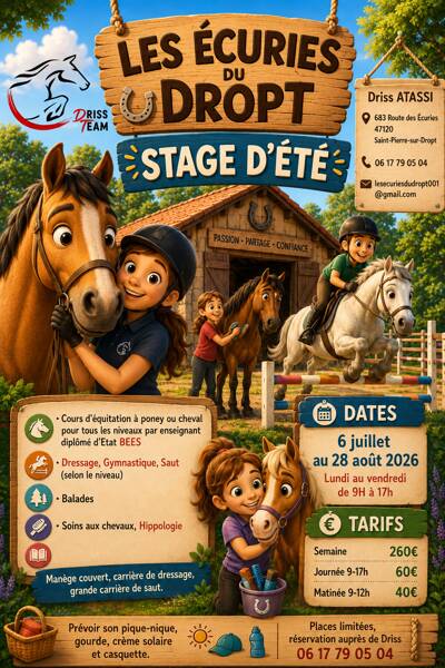 Stage d'été