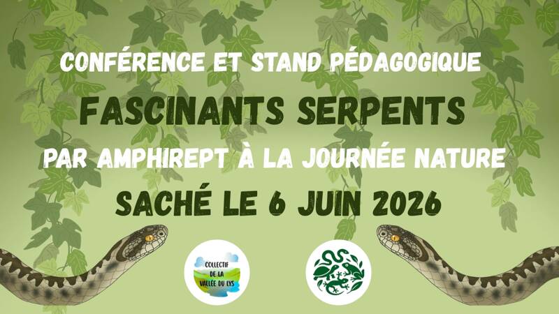 Conférence