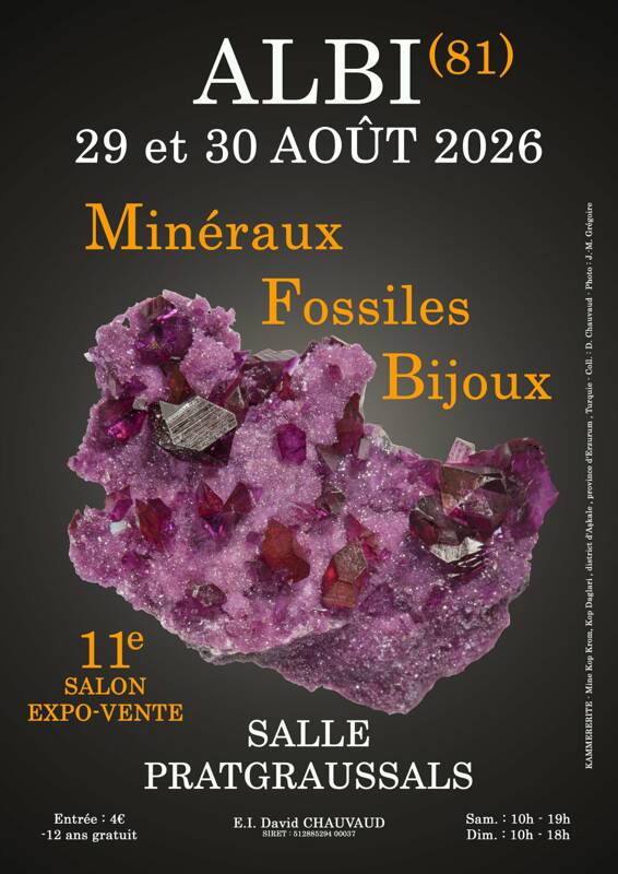 11e SALON MINERAUX FOSSILES BIJOUX