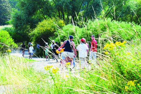 Parcours-visite en famille Jardin