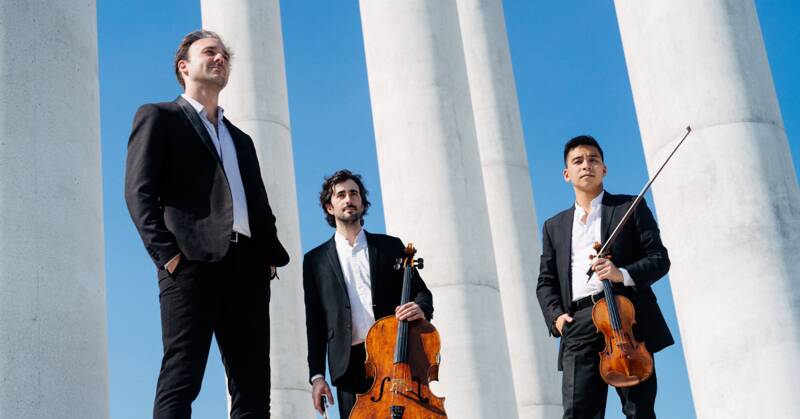 Trio Zadig