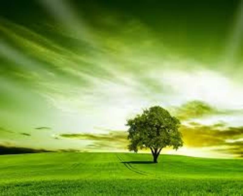 Vive les vers verts !