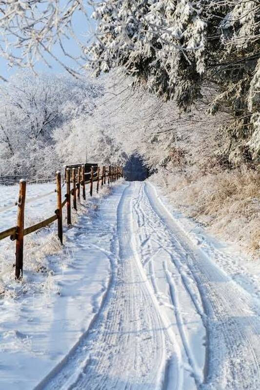 Le barde de Gascogne fête le solstice d'hiver