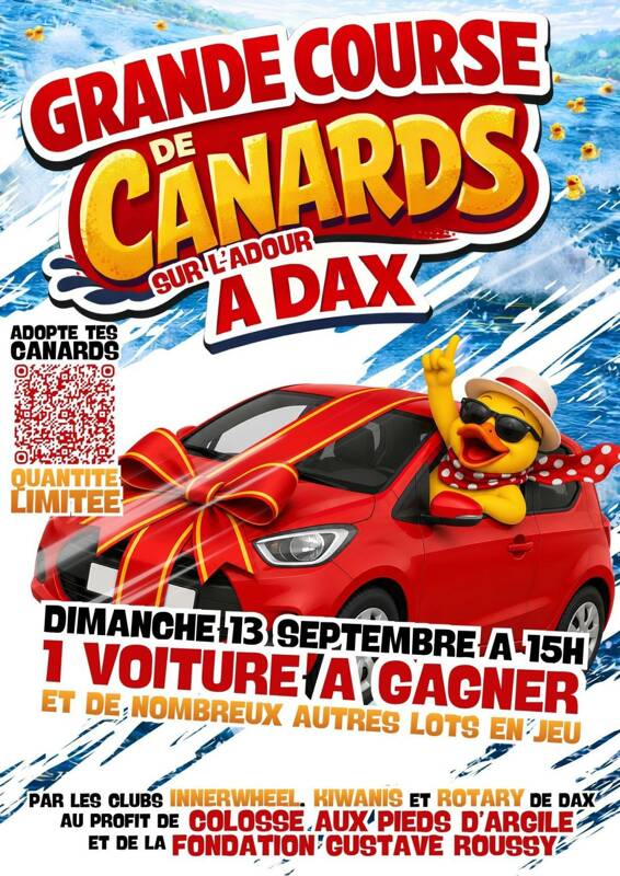 Course de canards sur l'Adour