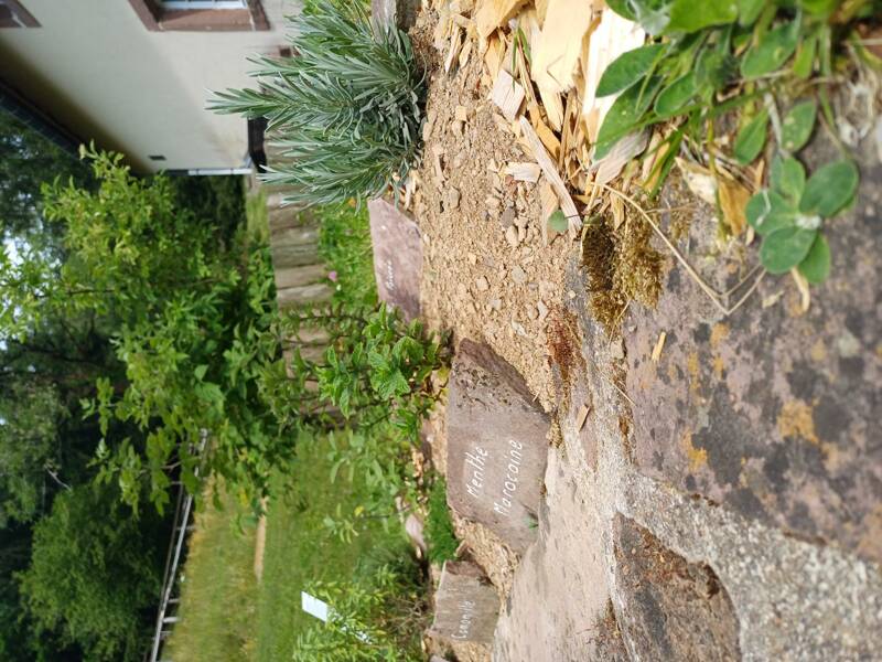 atelier - Poupée magique des jardins