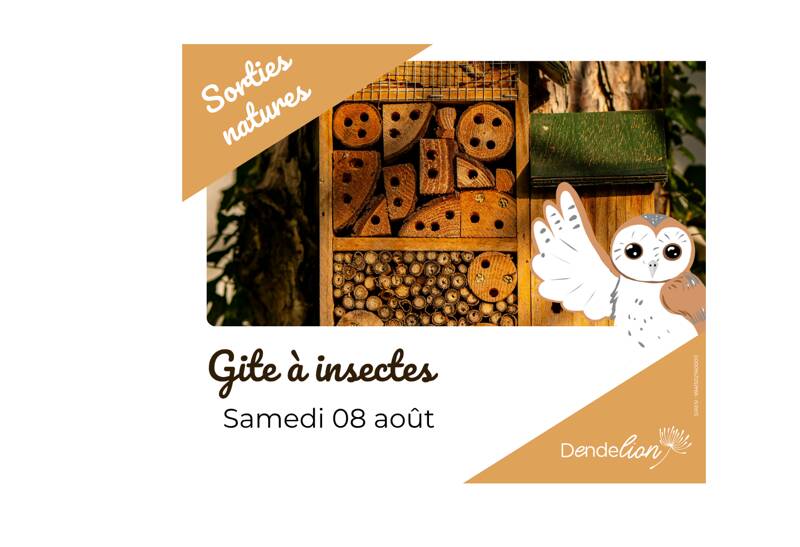 Gite à insectes