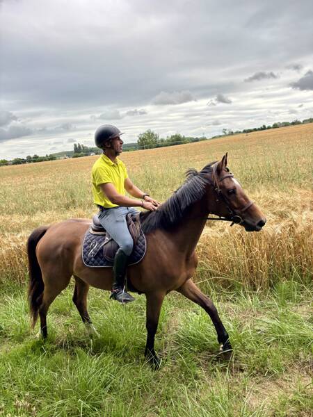 Balade à cheval ou poney