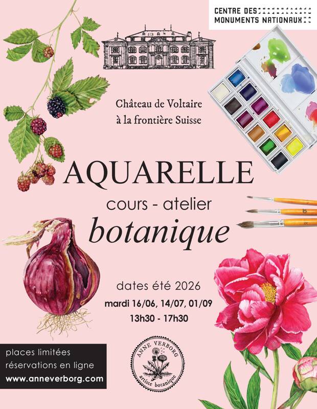 Cours d'aquarelle botanique