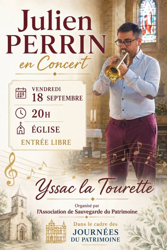 Julien Perrin en concert
